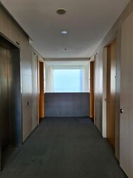 The Peak @ Cairnhill I (D9), Apartment #437994391